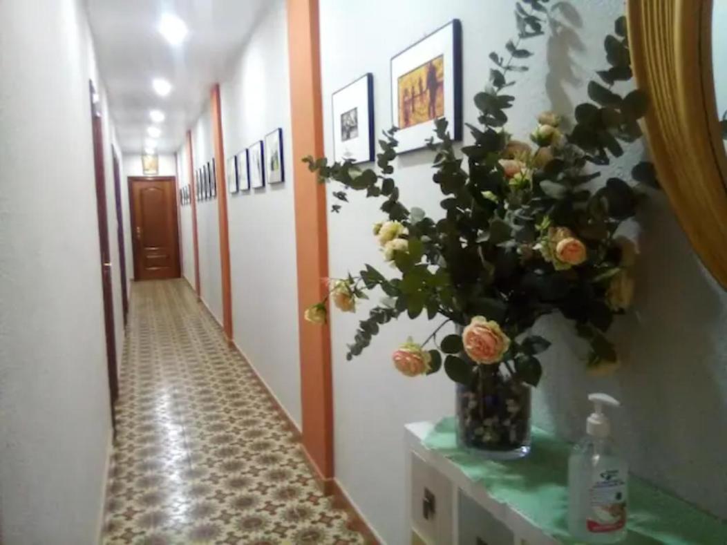 Las Golondrinas Zaragoza Habitacion Individual 외부 사진